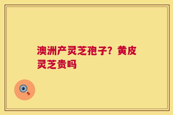 澳洲产灵芝孢子?黄皮灵芝贵吗 澳洲产灵芝孢子?黄皮灵芝贵吗