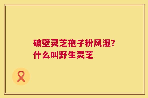 破壁灵芝孢子粉风湿？什么叫野生灵芝