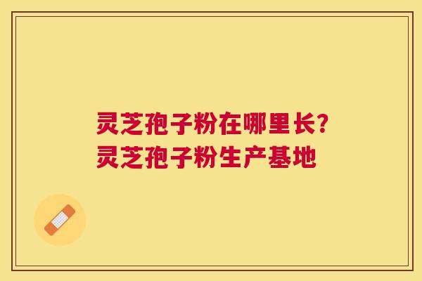 灵芝孢子粉在哪里长？灵芝孢子粉生产基地
