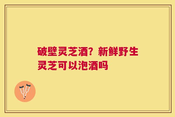 破壁灵芝酒?新鲜野生灵芝可以泡酒吗 破壁灵芝酒?新鲜野生灵芝可以泡酒吗