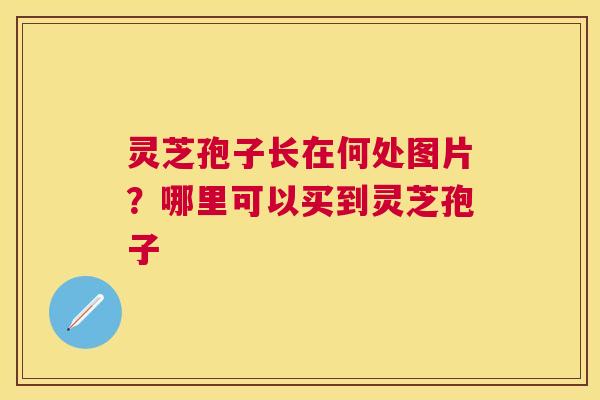 灵芝孢子长在何处图片?哪里可以买到灵芝孢子 灵芝孢子长在何处图片?哪里可以买到灵芝孢子
