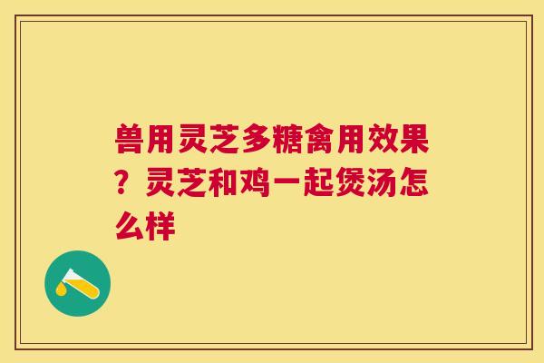 兽用灵芝多糖禽用效果?灵芝和鸡一起煲汤怎么样 兽用灵芝多糖禽用效果?灵芝和鸡一起煲汤怎么样