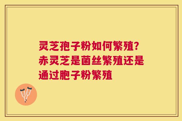 灵芝孢子粉如何繁殖?赤灵芝是菌丝繁殖还是通过胞子粉繁殖 灵芝孢子粉如何繁殖?赤灵芝是菌丝繁殖还是通过胞子粉繁殖