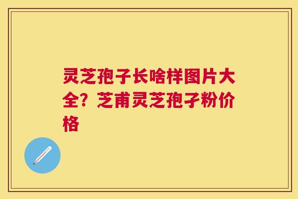 灵芝孢子长啥样图片大全?芝甫灵芝孢孑粉价格 灵芝孢子长啥样图片大全?芝甫灵芝孢孑粉价格