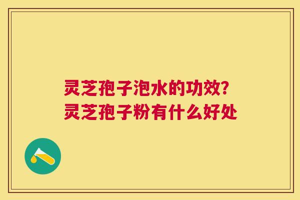 灵芝孢子泡水的功效？灵芝孢子粉有什么好处