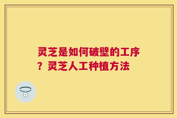 灵芝是如何破壁的工序?灵芝人工种植方法 灵芝是如何破壁的工序?灵芝人工种植方法