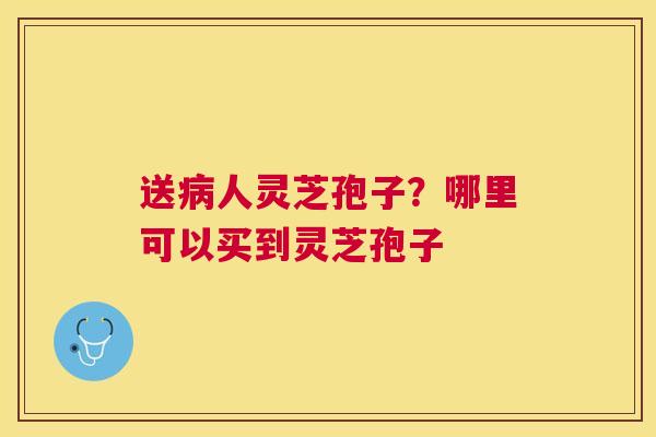 送人灵芝孢子？哪里可以买到灵芝孢子