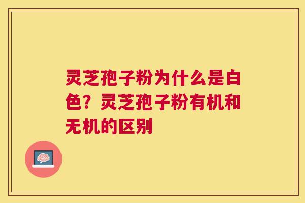 灵芝孢子粉为什么是白色？灵芝孢子粉有机和无机的区别