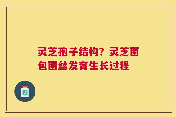 灵芝孢子结构?灵芝菌包菌丝发育生长过程 灵芝孢子结构?灵芝菌包菌丝发育生长过程