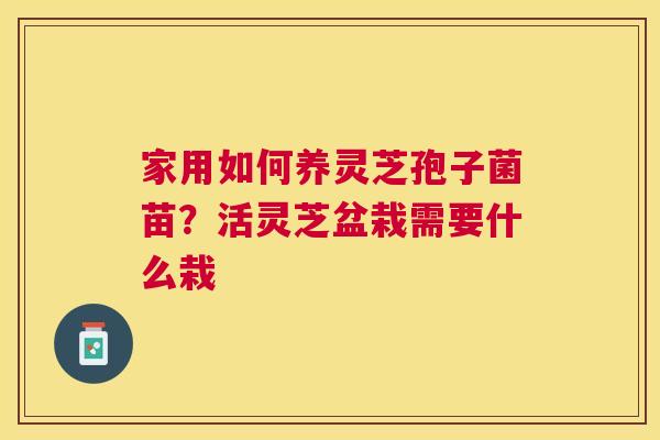 家用如何养灵芝孢子菌苗?活灵芝盆栽需要什么栽 家用如何养灵芝孢子菌苗?活灵芝盆栽需要什么栽