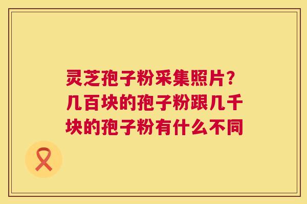 灵芝孢子粉采集照片？几百块的孢子粉跟几千块的孢子粉有什么不同