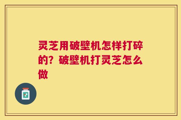 灵芝用破壁机怎样打碎的？破壁机打灵芝怎么做