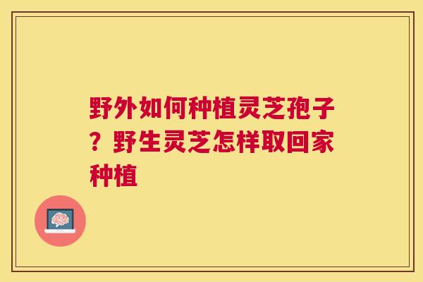 野外如何种植灵芝孢子?野生灵芝怎样取回家种植 野外如何种植灵芝孢子?野生灵芝怎样取回家种植