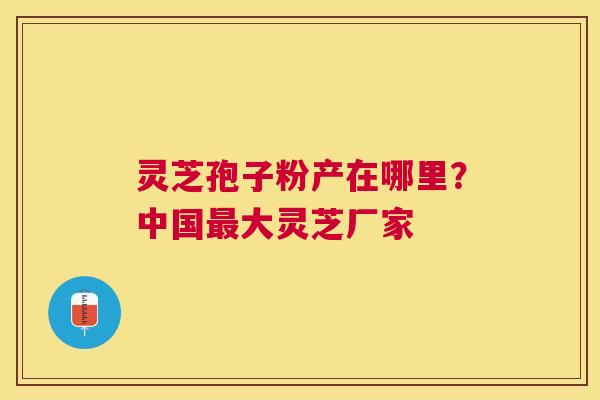 灵芝孢子粉产在哪里?中国大灵芝厂家 灵芝孢子粉产在哪里?中国大灵芝厂家