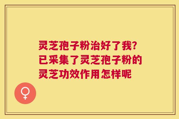 灵芝孢子粉好了我？已采集了灵芝孢子粉的灵芝功效作用怎样呢