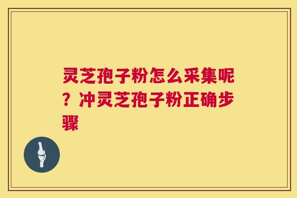 灵芝孢子粉怎么采集呢？冲灵芝孢子粉正确步骤