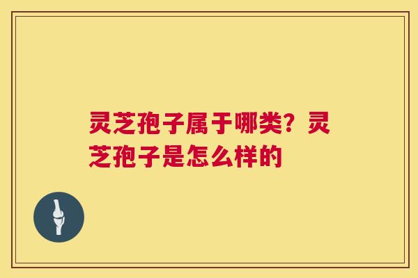 灵芝孢子属于哪类？灵芝孢子是怎么样的