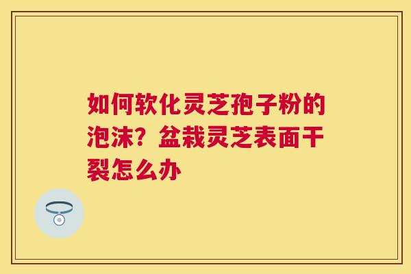 如何软化灵芝孢子粉的泡沫？盆栽灵芝表面干裂怎么办