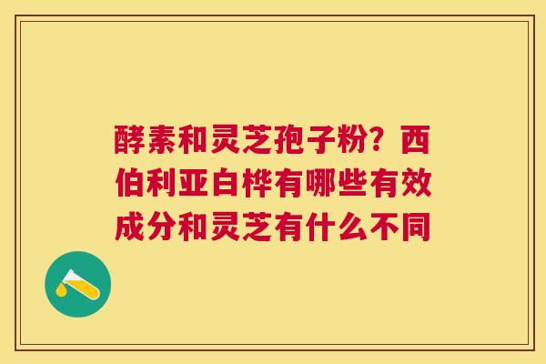 酵素和灵芝孢子粉?西伯利亚白桦有哪些有效成分和灵芝有什么不同 酵素和灵芝孢子粉?西伯利亚白桦有哪些有效成分和灵芝有什么不同