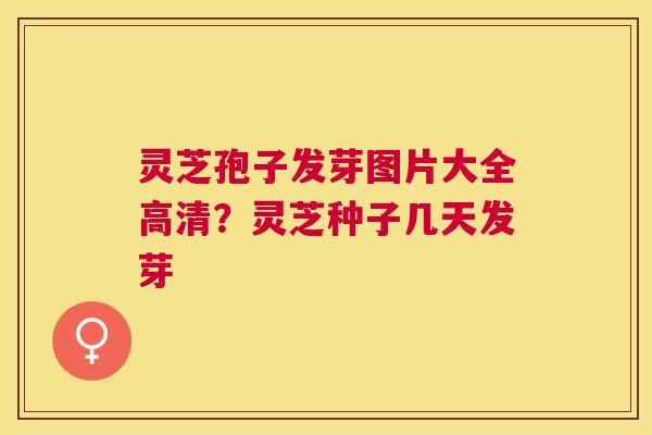 灵芝孢子发芽图片大全高清?灵芝种子几天发芽 灵芝孢子发芽图片大全高清?灵芝种子几天发芽