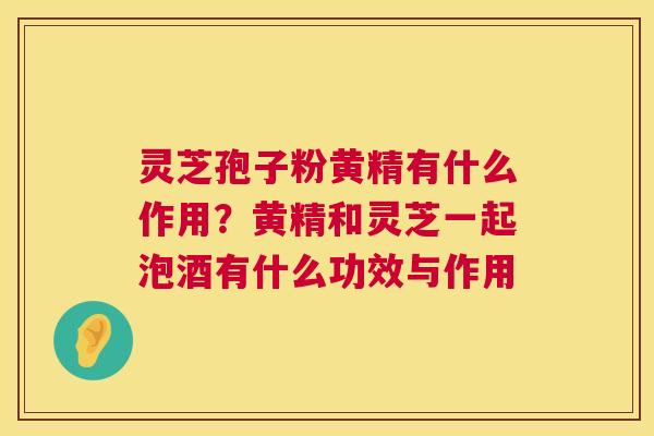 灵芝孢子粉黄精有什么作用?黄精和灵芝一起泡酒有什么功效与作用 灵芝孢子粉黄精有什么作用?黄精和灵芝一起泡酒有什么功效与作用