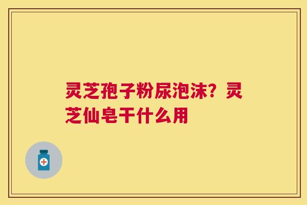 灵芝孢子粉尿泡沫?灵芝仙皂干什么用 灵芝孢子粉尿泡沫?灵芝仙皂干什么用