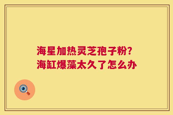 海星加热灵芝孢子粉?海缸爆藻太久了怎么办 海星加热灵芝孢子粉?海缸爆藻太久了怎么办