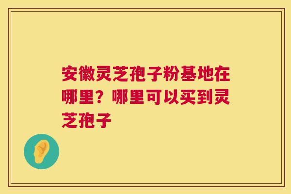 安徽灵芝孢子粉基地在哪里？哪里可以买到灵芝孢子