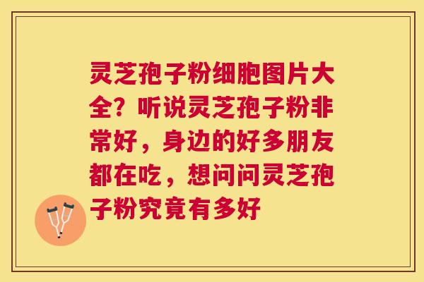 灵芝孢子粉细胞图片大全?听说灵芝孢子粉非常好,身边的好多朋友都在吃,想问问灵芝孢子粉究竟有多好 灵芝孢子粉细胞图片大全?听说灵芝孢子粉非常好,身边的好多朋友都在吃,想问问灵芝孢子粉究竟有多好