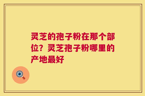 灵芝的孢子粉在那个部位?灵芝孢子粉哪里的产地好 灵芝的孢子粉在那个部位?灵芝孢子粉哪里的产地好