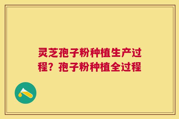 灵芝孢子粉种植生产过程?孢子粉种植全过程 灵芝孢子粉种植生产过程?孢子粉种植全过程