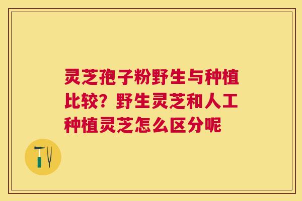 灵芝孢子粉野生与种植比较？野生灵芝和人工种植灵芝怎么区分呢