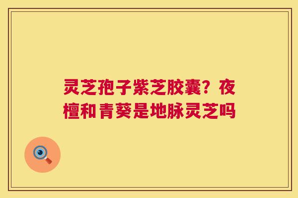 灵芝孢子紫芝胶囊?夜檀和青葵是地脉灵芝吗 灵芝孢子紫芝胶囊?夜檀和青葵是地脉灵芝吗
