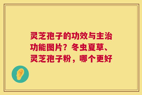 灵芝孢子的功效与主功能图片？冬虫夏草、灵芝孢子粉，哪个更好