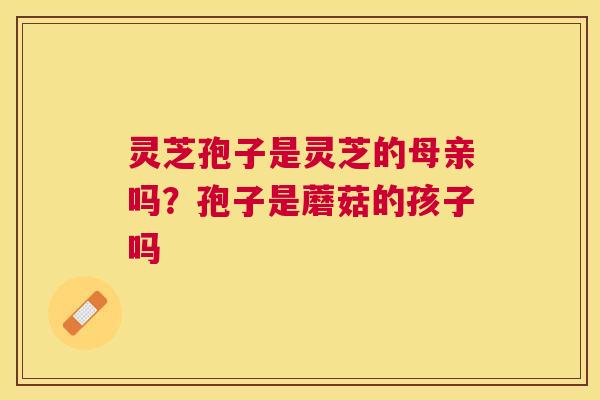 灵芝孢子是灵芝的母亲吗？孢子是蘑菇的孩子吗