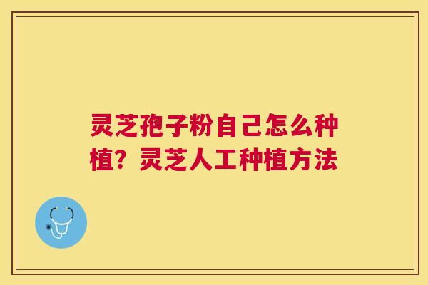 灵芝孢子粉自己怎么种植?灵芝人工种植方法 灵芝孢子粉自己怎么种植?灵芝人工种植方法