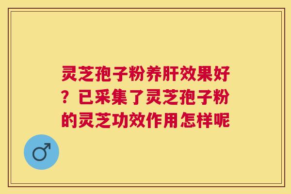 灵芝孢子粉养效果好？已采集了灵芝孢子粉的灵芝功效作用怎样呢