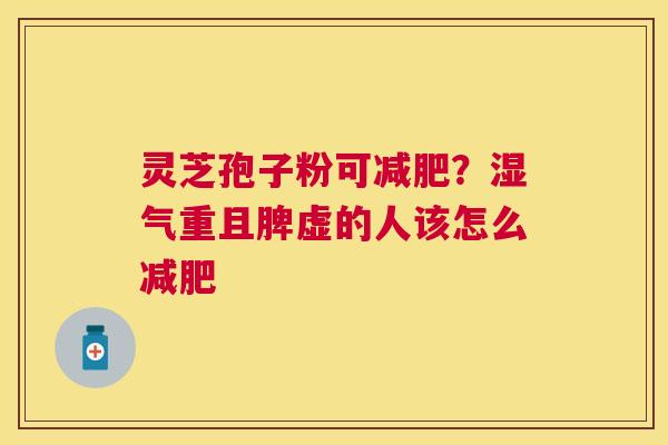 灵芝孢子粉可？湿气重且脾虚的人该怎么