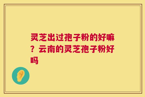 灵芝出过孢子粉的好嘛？云南的灵芝孢子粉好吗