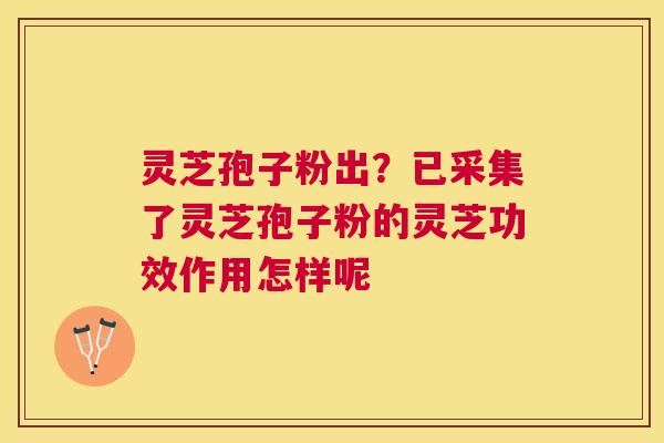 灵芝孢子粉出？已采集了灵芝孢子粉的灵芝功效作用怎样呢
