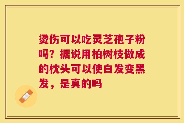 烫伤可以吃灵芝孢子粉吗?据说用柏树枝做成的枕头可以使白发变黑发,是真的吗 烫伤可以吃灵芝孢子粉吗?据说用柏树枝做成的枕头可以使白发变黑发,是真的吗