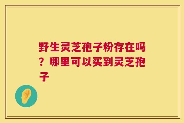 野生灵芝孢子粉存在吗？哪里可以买到灵芝孢子