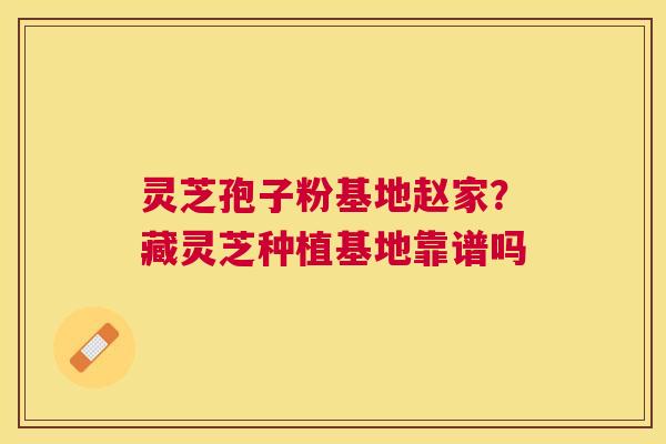 灵芝孢子粉基地赵家？藏灵芝种植基地靠谱吗