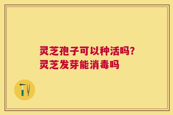 灵芝孢子可以种活吗?灵芝发芽能消毒吗 灵芝孢子可以种活吗?灵芝发芽能消毒吗