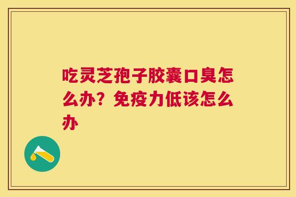 吃灵芝孢子胶囊口臭怎么办？免疫力低该怎么办