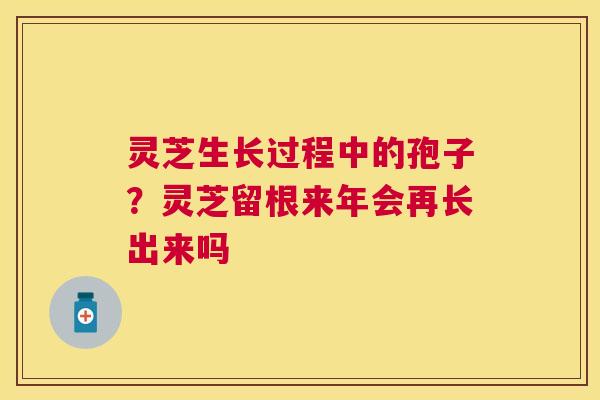 灵芝生长过程中的孢子?灵芝留根来年会再长出来吗 灵芝生长过程中的孢子?灵芝留根来年会再长出来吗