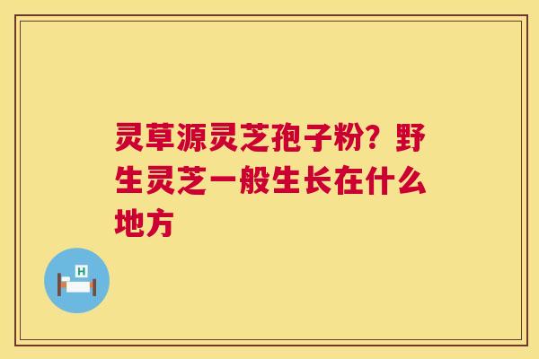 灵草源灵芝孢子粉？野生灵芝一般生长在什么地方
