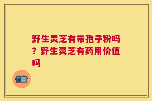 野生灵芝有带孢子粉吗?野生灵芝有药用价值吗 野生灵芝有带孢子粉吗?野生灵芝有药用价值吗