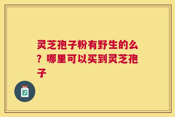 灵芝孢子粉有野生的么?哪里可以买到灵芝孢子 灵芝孢子粉有野生的么?哪里可以买到灵芝孢子