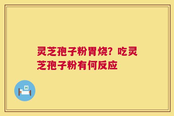 灵芝孢子粉胃烧？吃灵芝孢子粉有何反应
